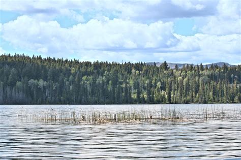 Stake Lake (Kamloops) .